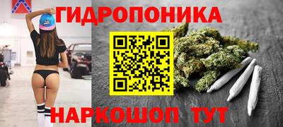 МДПВ Партизанск