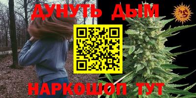 МДПВ Партизанск