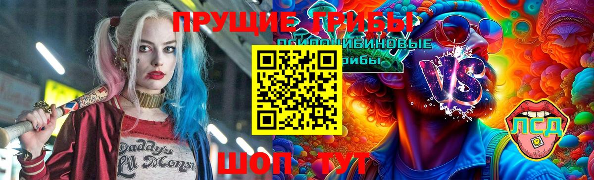 Новороссийск  Псилоцибиновые грибы MAGIC MUSHROOMS  Псилоцибиновые грибы Cubensis  Вход с VPN 