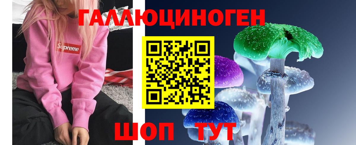 Галлюциногенные грибы Psilocybe Новороссийск